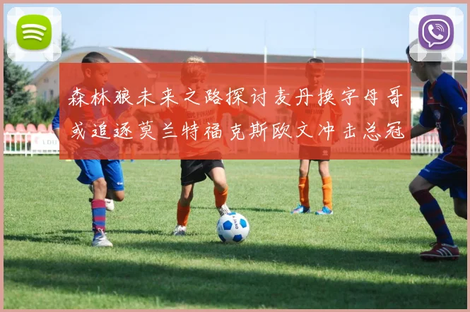 森林狼未来之路探讨麦丹换字母哥或追逐莫兰特福克斯欧文冲击总冠军